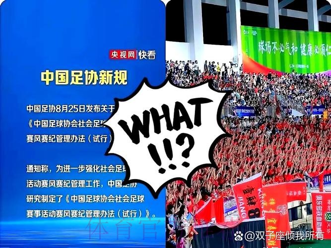 FIFA代表团结束中国行 将继续加大扶持力度